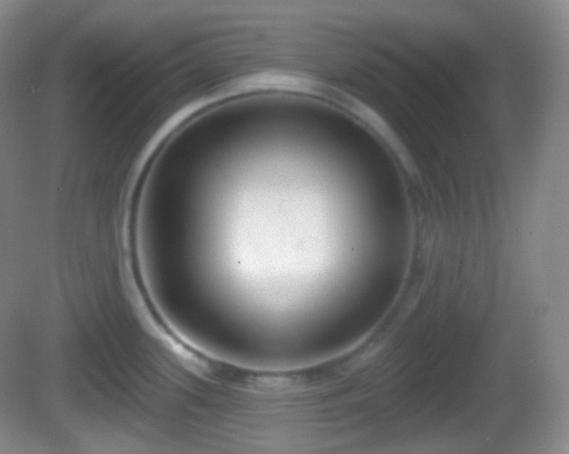 X0000082681339200702021217
