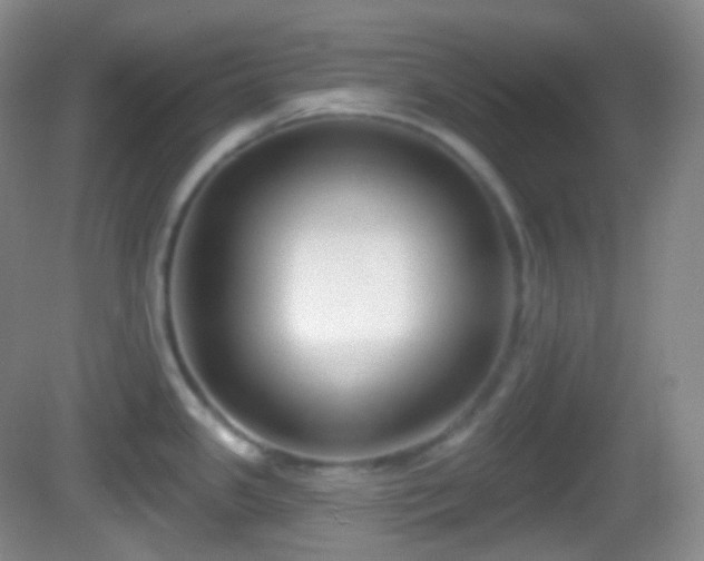 X0000082681341200702021217
