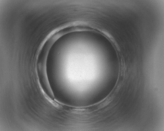 X0000082681342200702021217