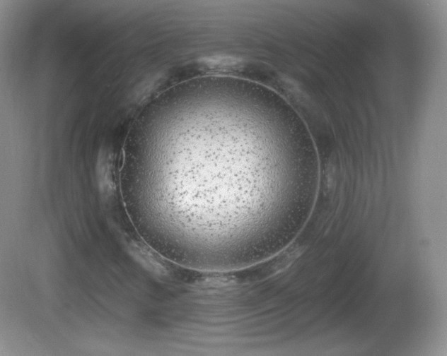 X0000082681346200702021216
