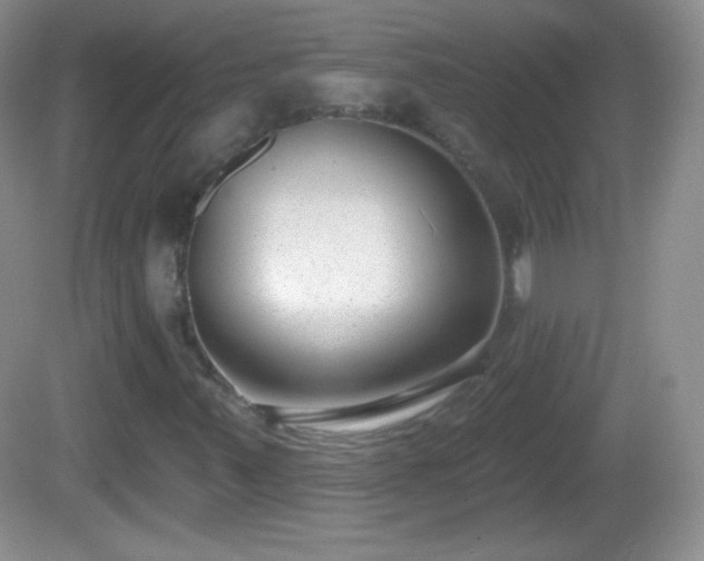 X0000082681347200702021216
