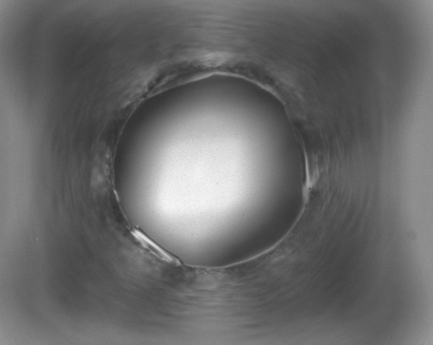 X0000082681349200702021216