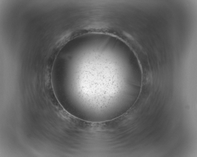 X0000082681350200702021216