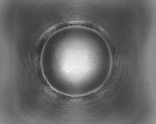X0000082681351200702021216