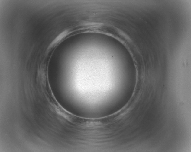 X0000082681354200702021216