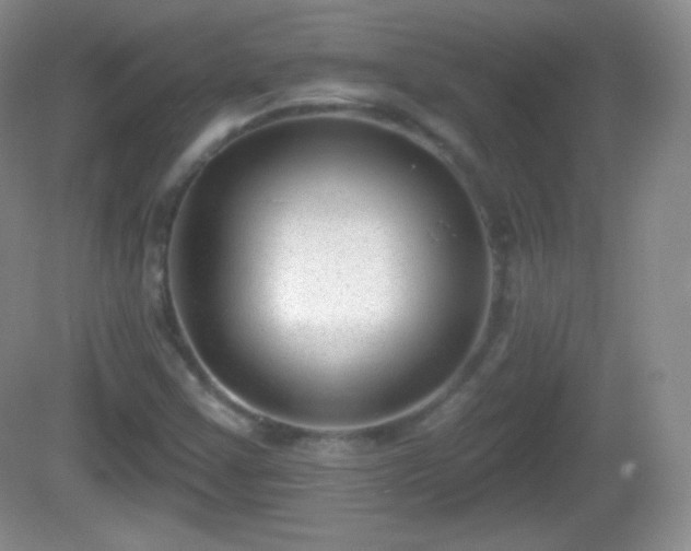 X0000082681355200702021216