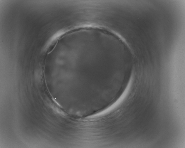 X0000082681359200702021216