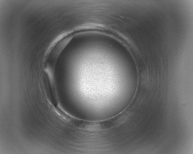 X0000082681363200702021216