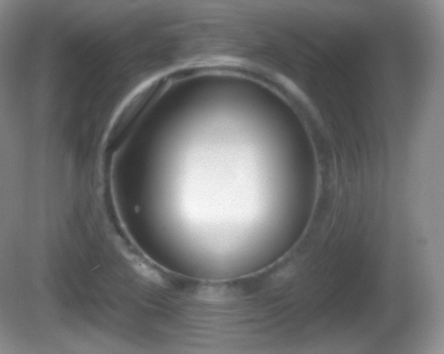 X0000082681364200702021216