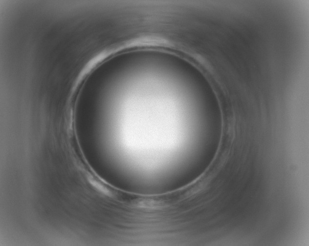 X0000082681366200702021215