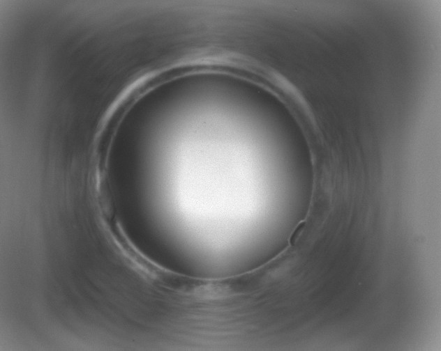 X0000082681368200702021215