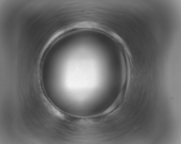 X0000082681384200702021215