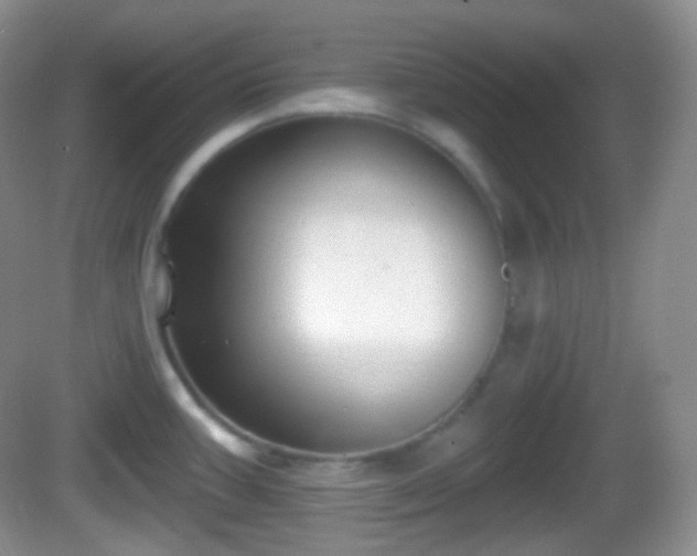 X0000082681387200702021215