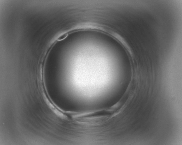 X0000082681388200702021215