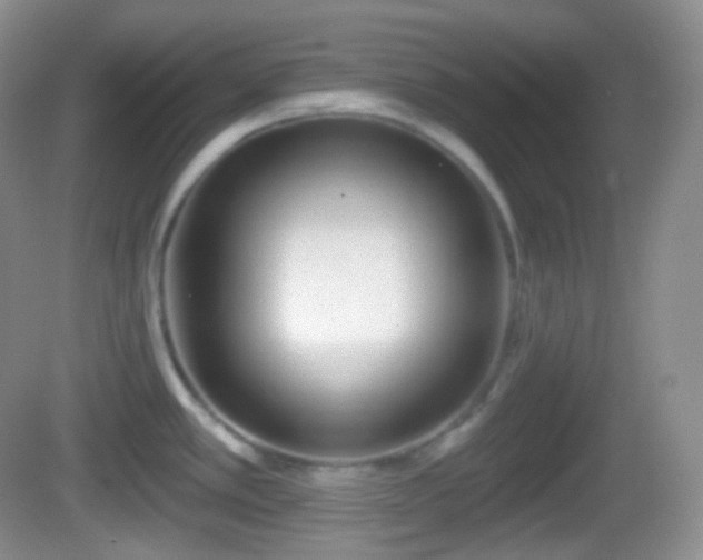 X0000082681389200702021215