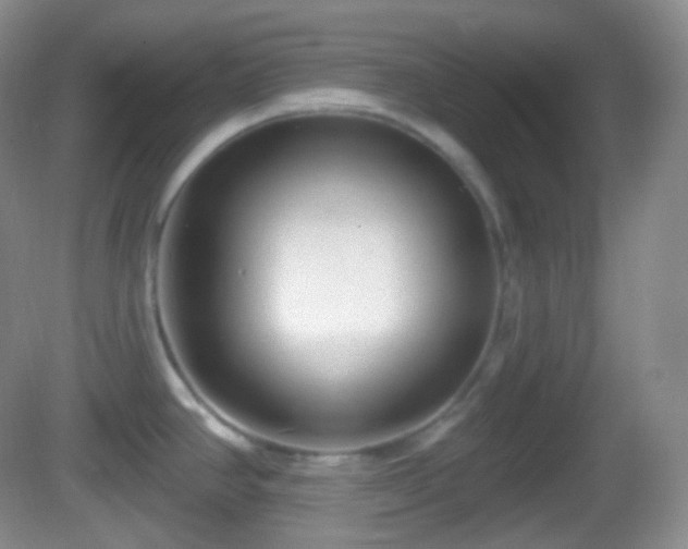 X0000082681390200702021215