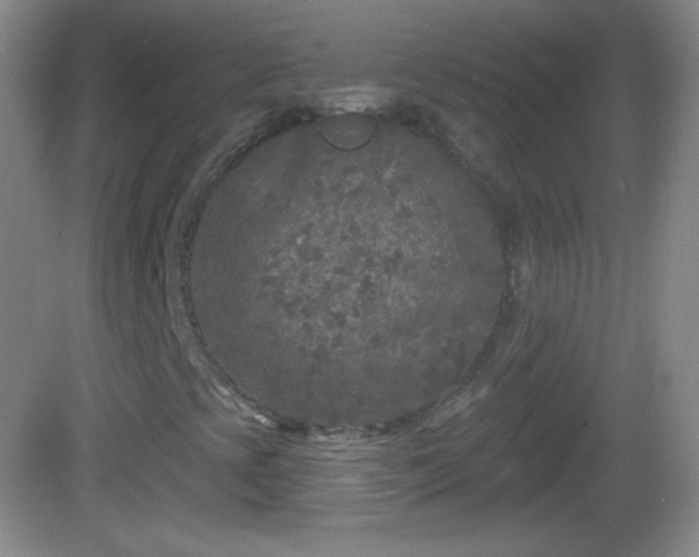 X0000082681393200702021214