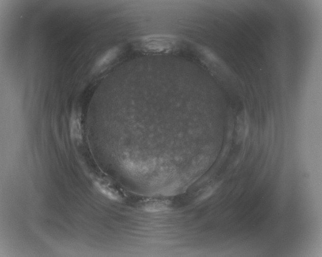 X0000082681394200702021214