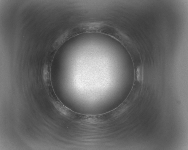X0000082681395200702021214