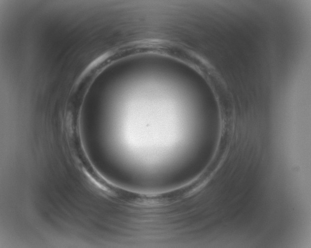 X0000082681402200702021214