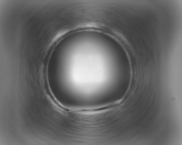 X0000082681404200702021214