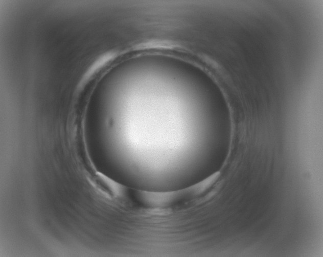 X0000082681406200702021214