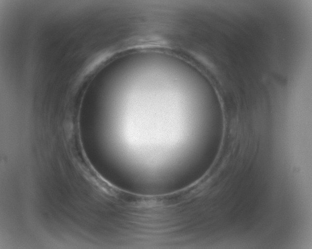X0000082681407200702021214