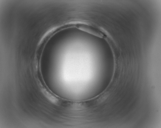 X0000082681408200702021214