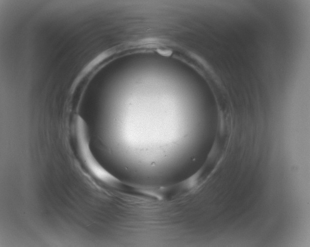 X0000082681410200702021215