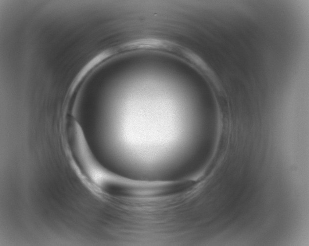 X0000082681426200702021215