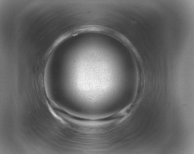 X0000082681433200702021215