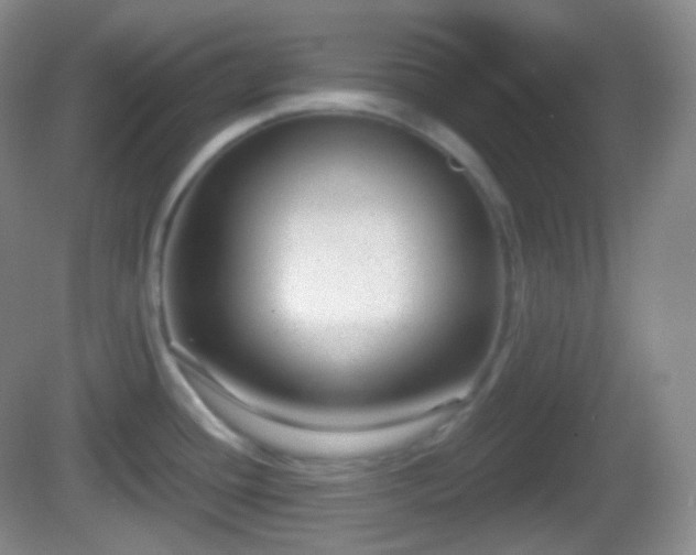 X0000082681436200702021215