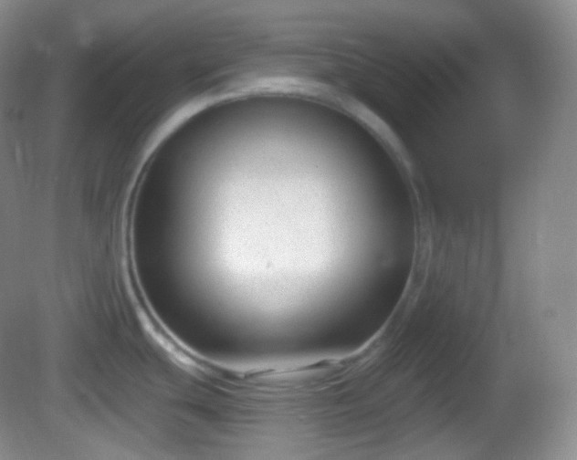 X0000082681439200702021215