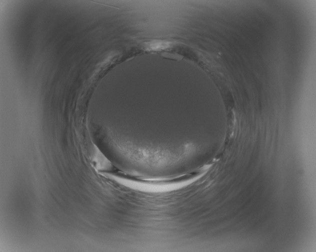 X0000082681441200702021214