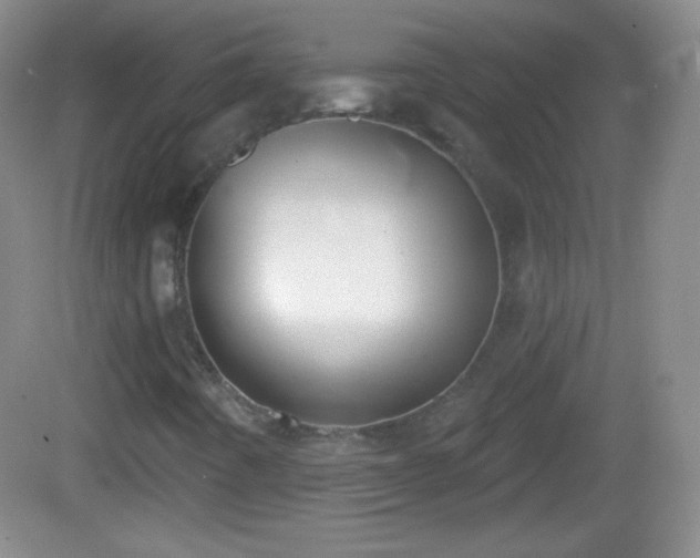 X0000082681442200702021214