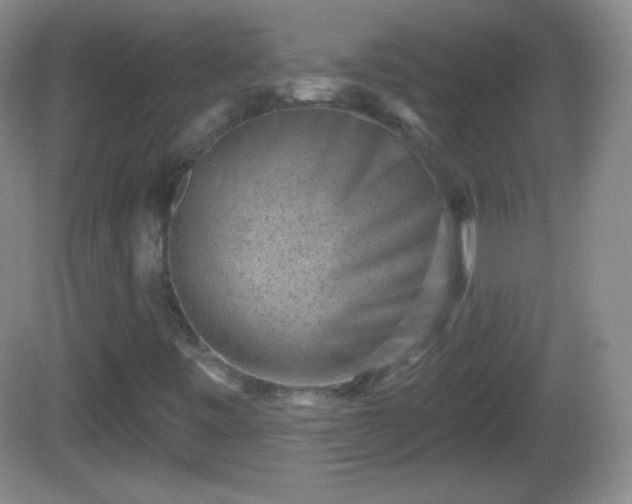 X0000082681443200702021214