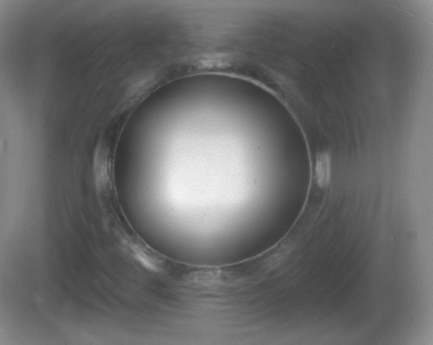 X0000082681444200702021214