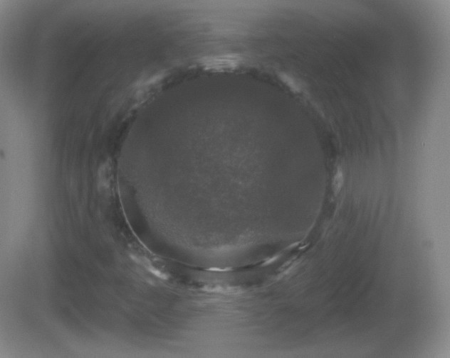 X0000082681445200702021214