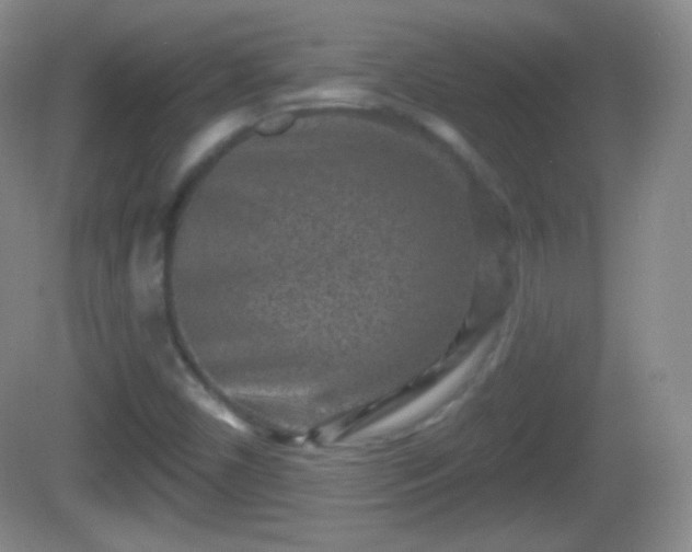 X0000082681450200702021214