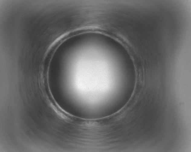 X0000082681452200702021214