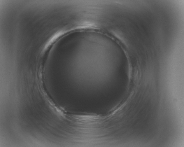 X0000082681455200702021214