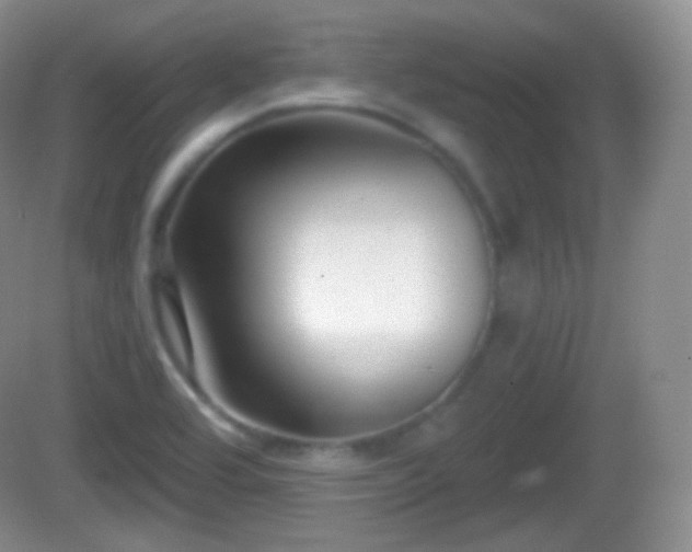 X0000082681464200702021214