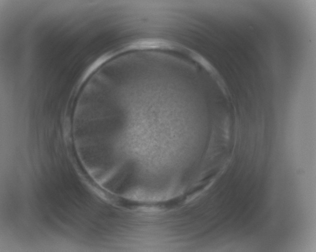 X0000082681465200702021214