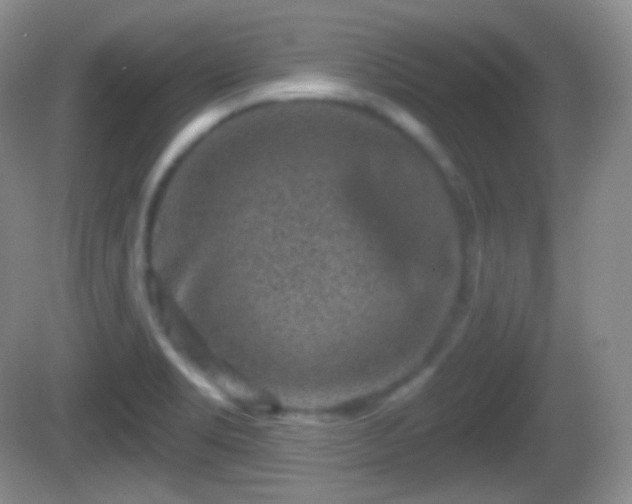 X0000082681469200702021214