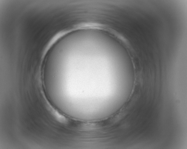 X0000082681470200702021214