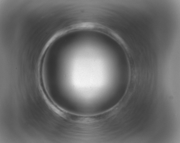 X0000082681475200702021214