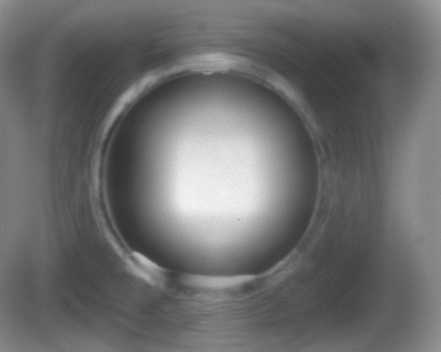 X0000082681477200702021214