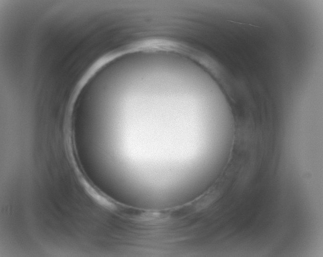 X0000082681478200702021214