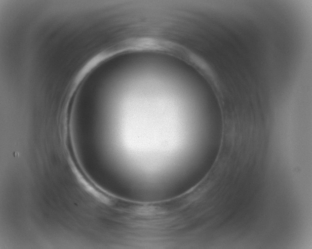 X0000082681479200702021214