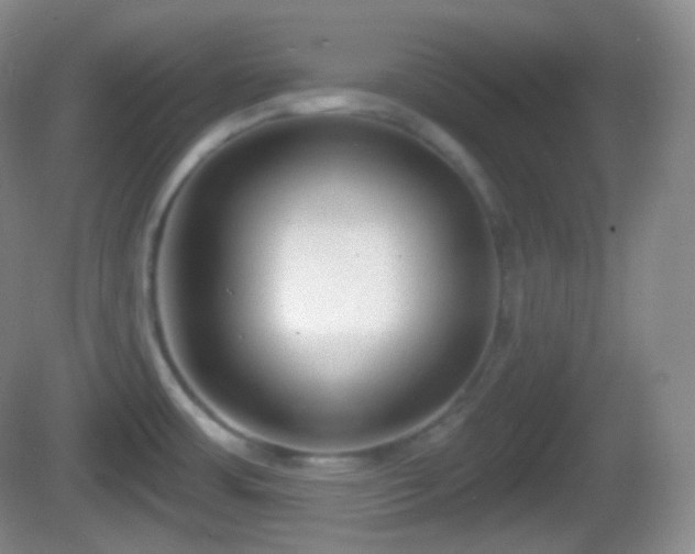 X0000082681483200702021214